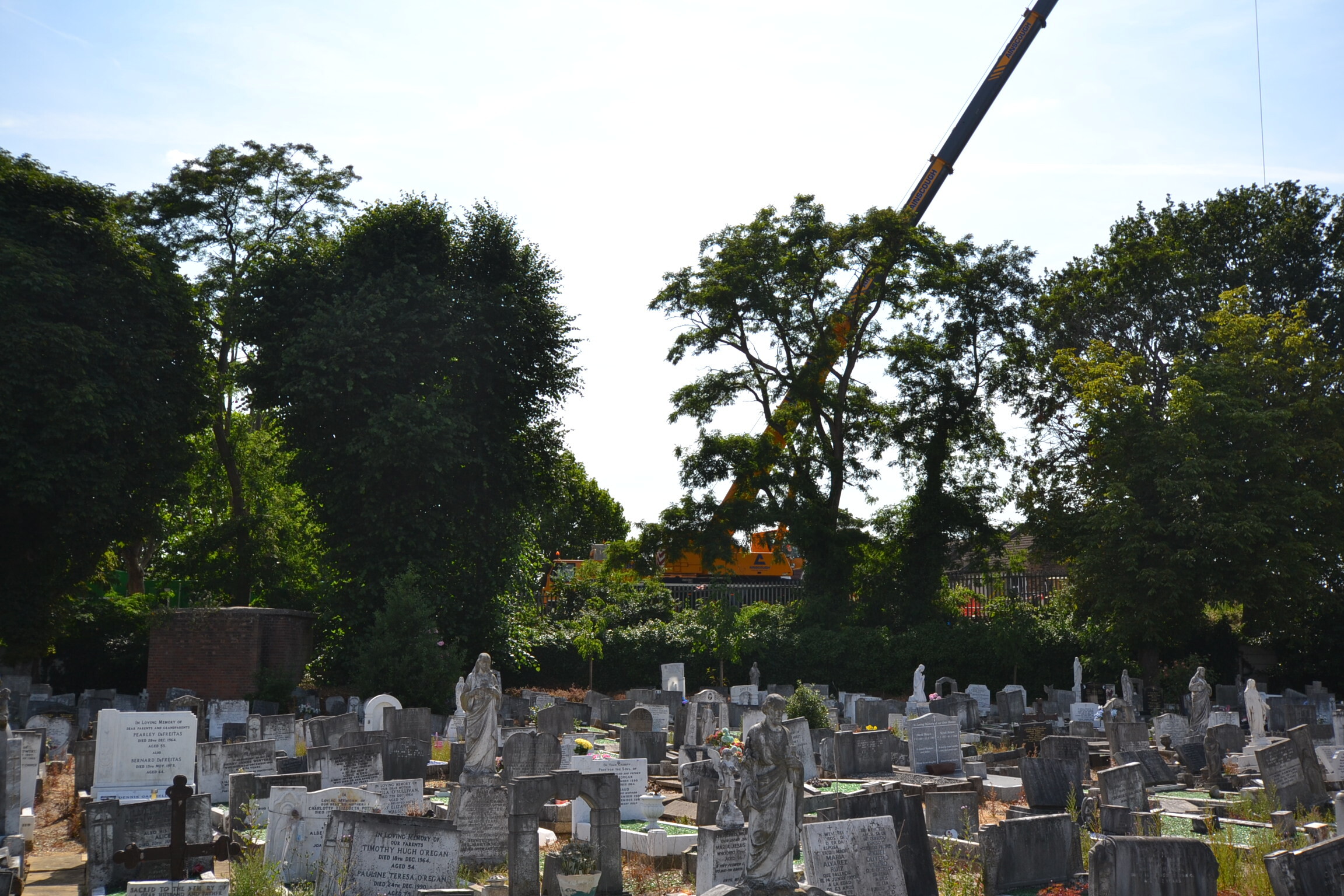 Repose Contractors